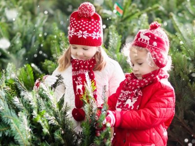 Først skal træet passes